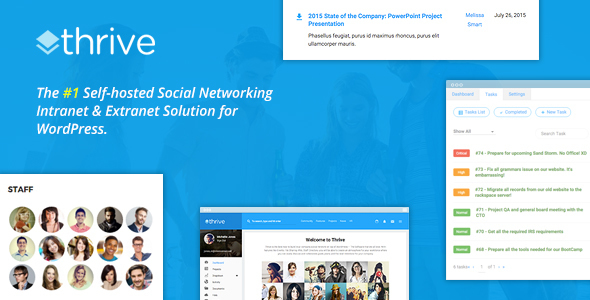 Thrive – Intranet & Community WordPress Theme 3.1.11