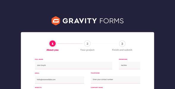 Gravity Forms 2.9.5.2 + 64 Addons Bundle