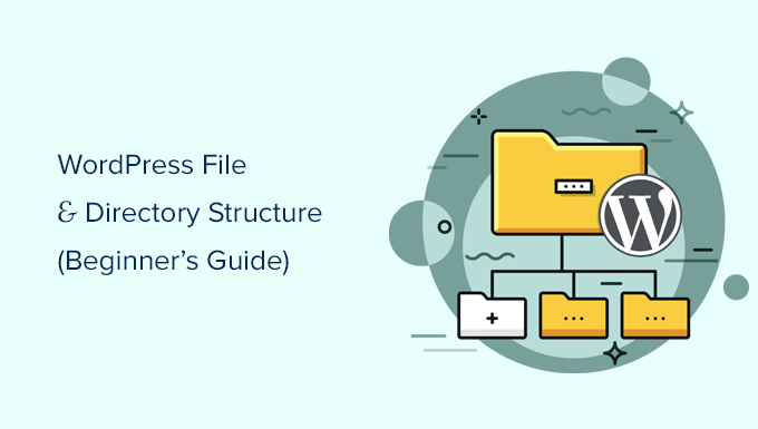 Beginner’s Guide to WordPress File and Directory Structure