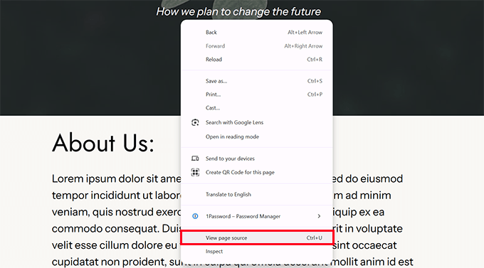View page source View page source