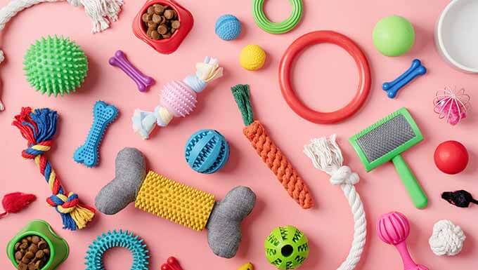 Pet accessories Pet accessories