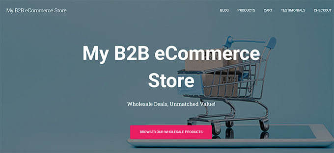 B2B store home page B2B store home page