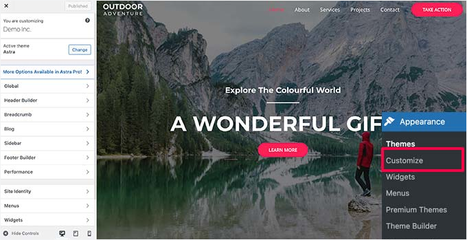 Customize theme preview Customize theme preview