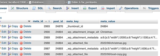 Image meta data stored in WordPress database Image meta data stored in WordPress database
