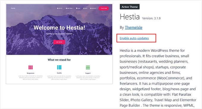 Enable auto updates for themes Enable auto updates for themes