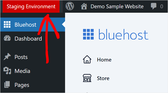 The Staging Environment label in the WordPress admin area when editing a Bluehost staging site The Staging Environment label in the WordPress admin area when editing a Bluehost staging site