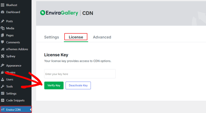 Verify Envira CDN license key Verify Envira CDN license key