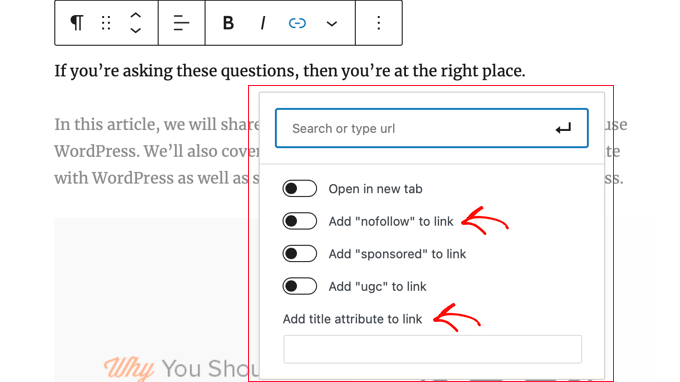 AIOSEO Adds NoFollow and Title Attributes to the Insert Link Popup AIOSEO Adds NoFollow and Title Attributes to the Insert Link Popup