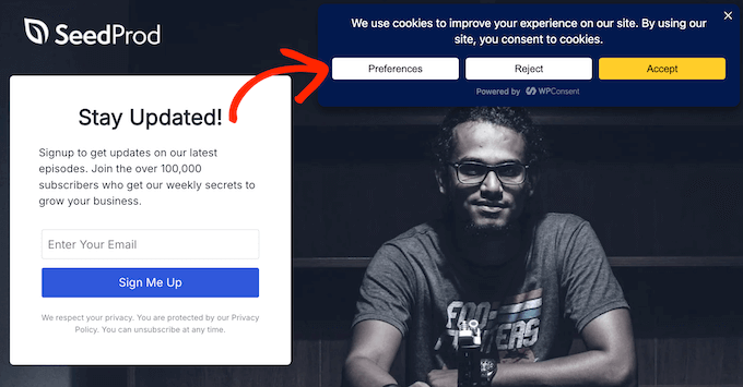 Accessing the cookie policy using WPConsent 
