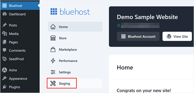 Navigating to the Staging tab in the Bluehost plugin page inside WordPress Navigating to the Staging tab in the Bluehost plugin page inside WordPress