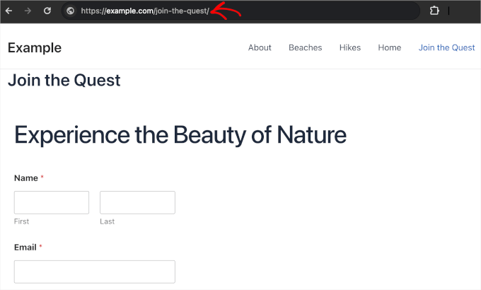 livewebsite-contactpage A contact page's URL on a live website