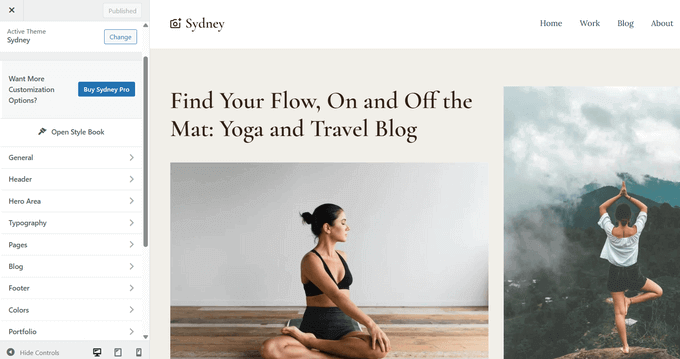 Sydney theme customization options Sydney theme customization options