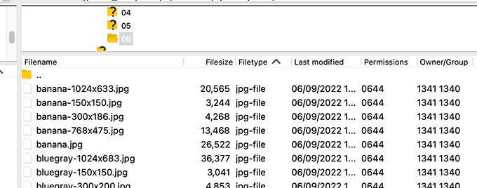 Multiple image sizes Multiple image sizes