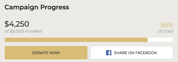 Campaign progress bar example Campaign progress bar example