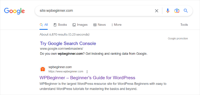 Site search operator on Google Site search operator on Google