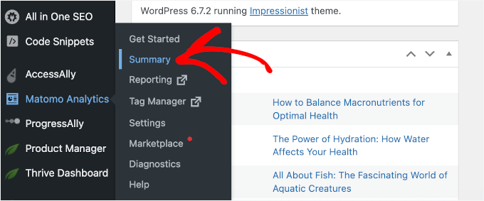 Accessing Matomo Analytics Summary from the WordPress dashboard Accessing Matomo Analytics Summary from the WordPress dashboard