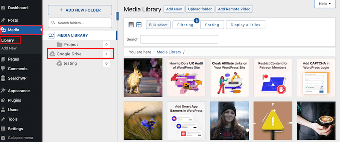 Accessing Google Drive images in the WordPress dashboard Accessing Google Drive images in the WordPress dashboard