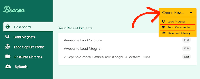 How to create a lead magnet optin form using Beacon How to create a lead magnet optin form using Beacon