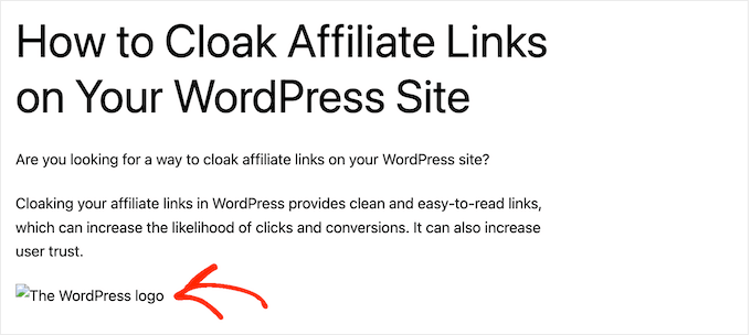 An example of a WordPress image error message An example of a WordPress image error message