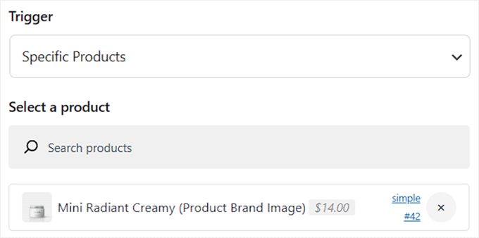 Choose specific products where the complementary products section will be added Choose specific products where the complementary products section will be added