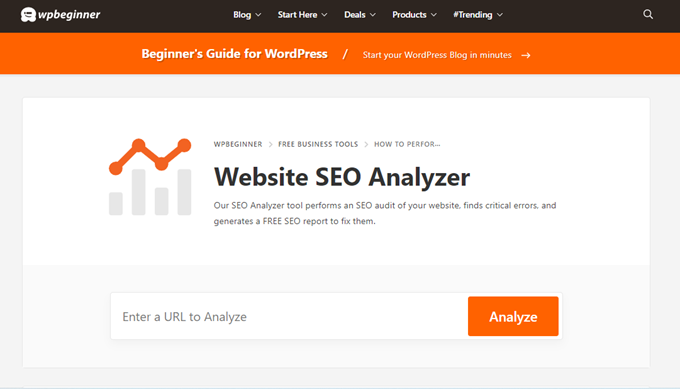 free seo analyzer free seo analyzer