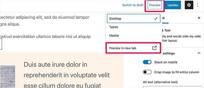 Preview options for post and pages Preview options for post and pages