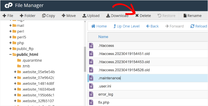 Remove the maintenance file from file manager Remove the maintenance file from file manager