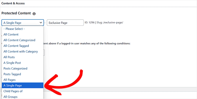 Choose content to protect from the dropdown menu Choose content to protect from the dropdown menu