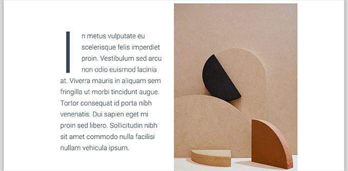 A blog post showing image in portrait size next to some text A blog post showing image in portrait size next to some text