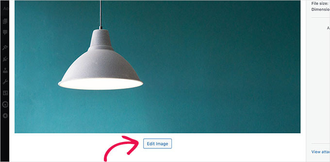 The Edit Image button The Edit Image button