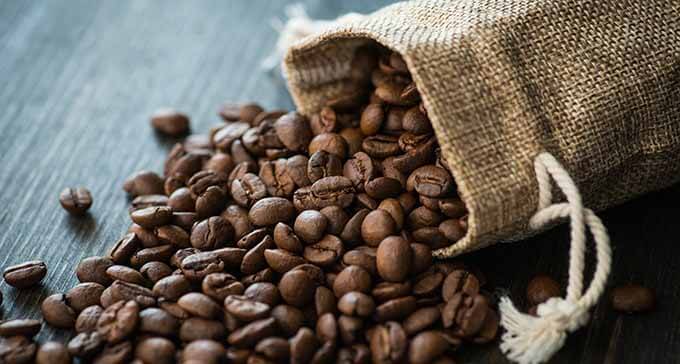 Coffee Beans Coffee Beans