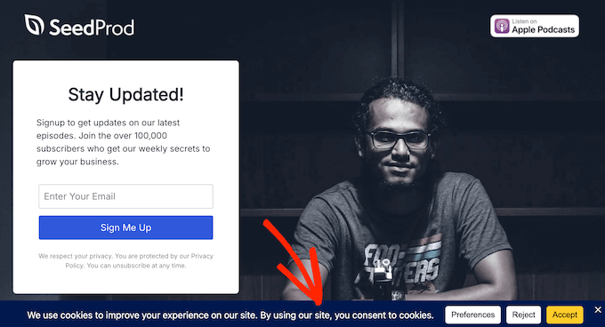 An example of a cookie policy created using WPConsent 