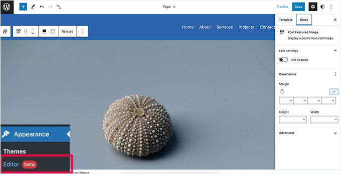 Full site editor preview Full site editor preview