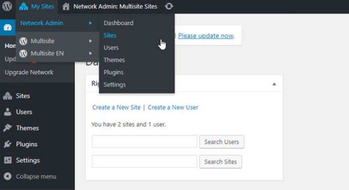 Multisite network settings Multisite network settings