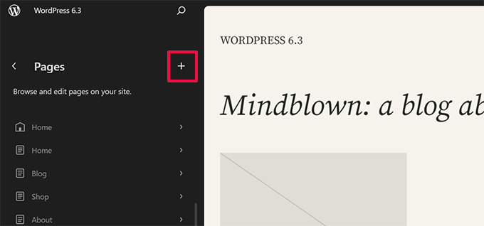 Create or edit pages in the site editor Create or edit pages in the site editor