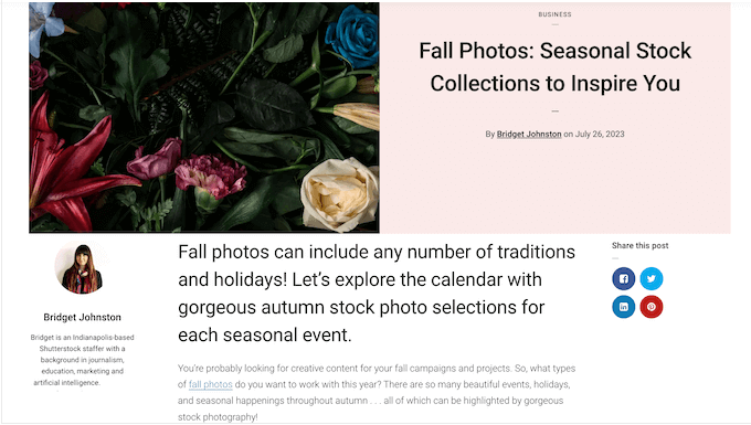 An example of a blog post, on a stock photography website An example of a blog post, on a stock photography website
