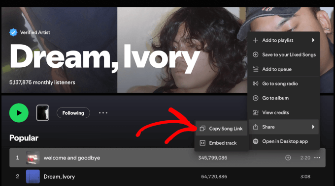The Copy Song Link button The Copy Song Link button