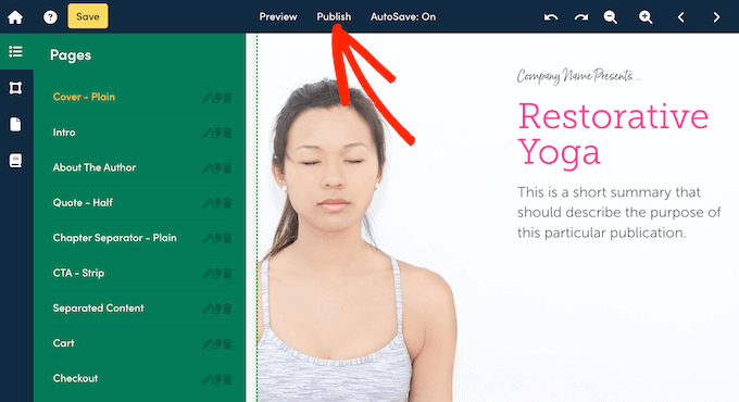 How to publish a lead magnet to your WordPress blog, website, or WooCommerce store How to publish a lead magnet to your WordPress blog, website, or WooCommerce store
