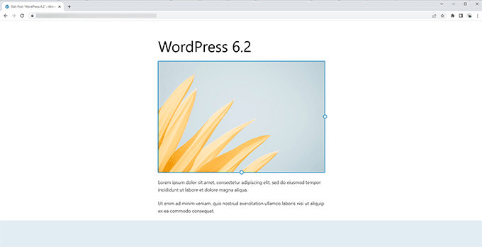 Distraction free editor in WordPress 6.2 Distraction free editor in WordPress 6.2