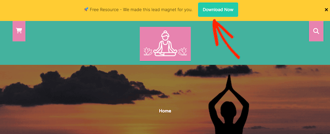 Adding an alert bar to your WordPress website, blog, or online marketplace Adding an alert bar to your WordPress website, blog, or online marketplace