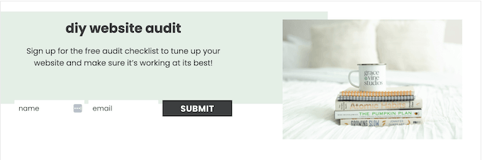 An example of a sign-up form, used to collect leads for an online business An example of a sign-up form, used to collect leads for an online business
