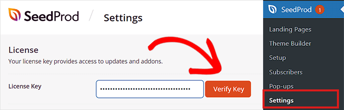 Paste license key in the field Paste license key in the field