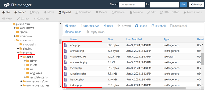 An example of what the WordPress theme files look like in the Bluehost file manager An example of what the WordPress theme files look like in the Bluehost file manager