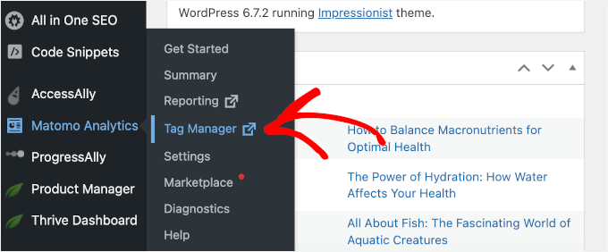 Accessing Matomo Analytics Tag Manager reports from the WordPress dashboard Accessing Matomo Analytics Tag Manager reports from the WordPress dashboard