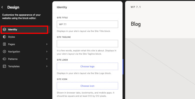 New'Identity' tab in site editor