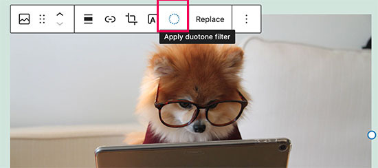 Applying duotone filter to images in WordPress 5.8 Applying duotone filter to images in WordPress 5.8
