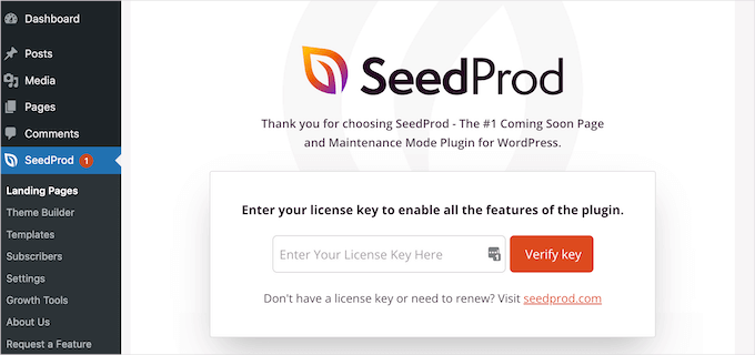 Entering the SeedProd license key Entering the SeedProd license key