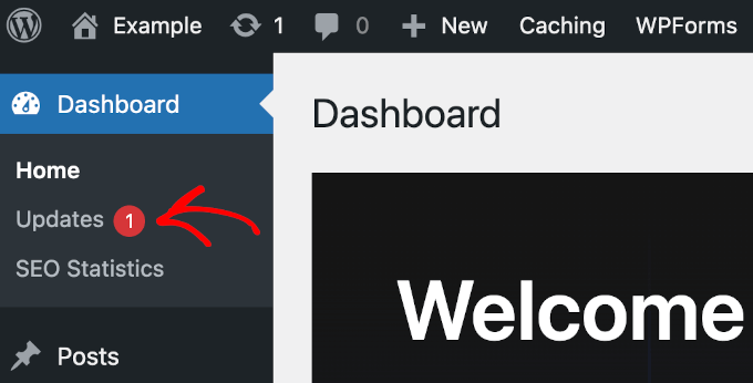 wordpress-dashboard-updatesbutton The Update button on WordPress' dashboard