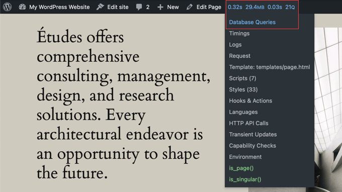 Choose 'Database Queries' From the Query Monitor Menu Choose 'Database Queries' From the Query Monitor Menu