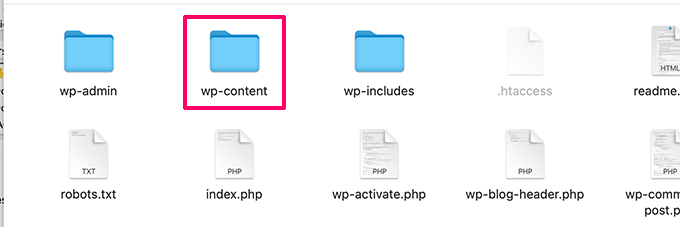 WordPress content folder WordPress content folder